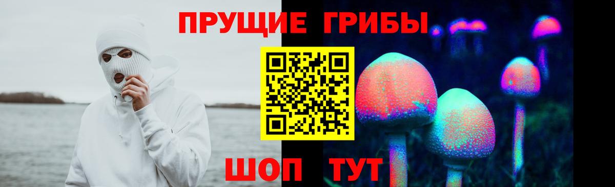 Псилоцибиновые грибы GOLDEN TEACHER Зеленокумск